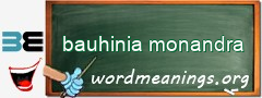 WordMeaning blackboard for bauhinia monandra